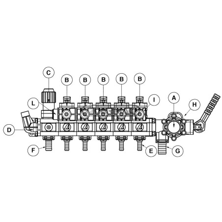 Gruppo manuale proporzionale Sezioni 5 Portata 180 l/min 26290 ARAG