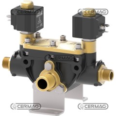 Gruppo 481 Sezioni 2 Tipo valvole Solenoide 910876 ARAG | NewgardenAgri.com