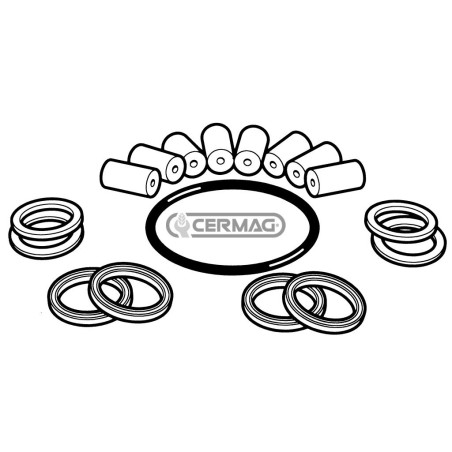 WASHER PUMP REPAIR KIT 26111 | NewgardenAgri.com