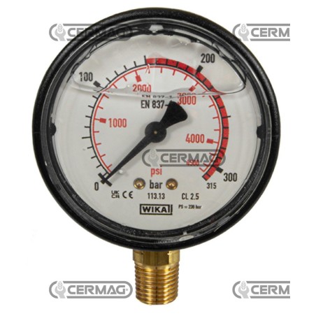 Glycerin-Manometer Ø 63 mm Vertikaler Anschluss 1/4" Gasskala 0–315 bar 25240 Wika | NewgardenAgri.com