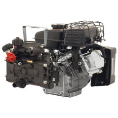 2-diaphragm motor pump Model AR 202 - Rato EHR V80 4T - 2.5 Hp 27452 ANNOVI REVERBERI | NewgardenAgri.com
