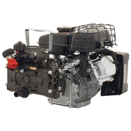 2-diaphragm motor pump Model AR 202 - Rato EHR V80 4T - 2.5 Hp 27452 ANNOVI REVERBERI | NewgardenAgri.com