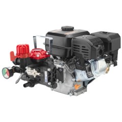 2-diaphragm motor pump Model AR 252 - Rato EHR 180 4T - 6 Hp 27453 ANNOVI REVERBERI | NewgardenAgri.com