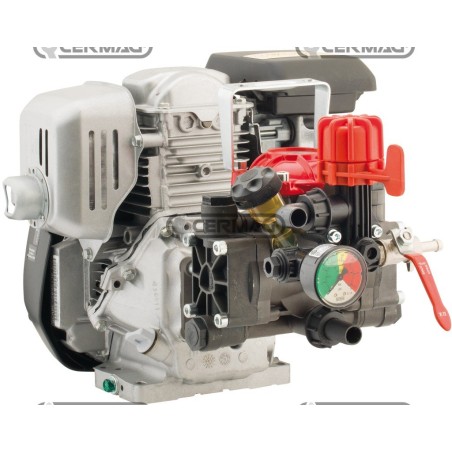 2-diaphragm motor pump Model AR 252 - Honda GP 160 4T - 4.8 Hp 27454 ANNOVI REVERBERI | NewgardenAgri.com