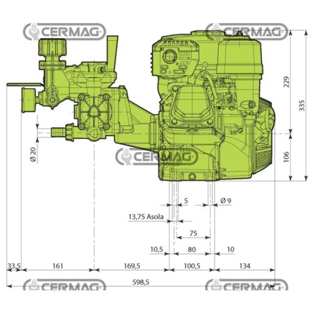 2-diaphragm motor pump Model AR 252 - Honda GP 160 4T - 4.8 Hp 27454 ANNOVI REVERBERI