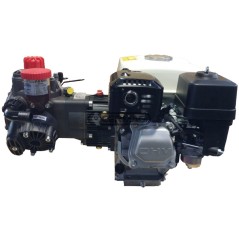 3-Membran-Motorpumpe Modell AR 403 - Honda GP 160 4T - 4,8 PS 27663 ANNOVI REVERBERI | NewgardenAgri.com