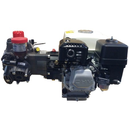 3-diaphragm motor pump Model AR 403 - Honda GP 160 4T - 4.8 Hp 27663 ANNOVI REVERBERI | NewgardenAgri.com