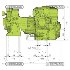 Motobomba 3 membranas Modelo AR 403 - Honda GP 160 4T - 4,8 CV 27663 ANNOVI REVERBERI