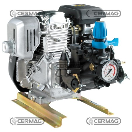 Bomba de motor de 2 diafragmas - MC25 Caudal 18,5 l/min Presión 25 bar 27572 COMET | NewgardenAgri.com