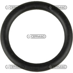 O-Ring Misura 1/2" 25498 ARAG | NewgardenAgri.com