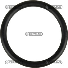 Junta tórica tamaño 3/4" 25499 ARAG | NewgardenAgri.com
