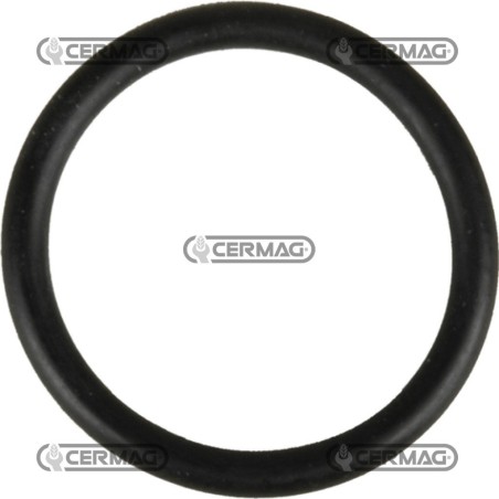 O-Ring Misura 3/4" 25499 ARAG | NewgardenAgri.com