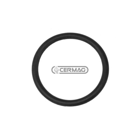 Junta tórica de EPDM, tamaño 26,7 x 2,6 mm, conexión 1" 1/4", gas 25122 ARAG | NewgardenAgri.com