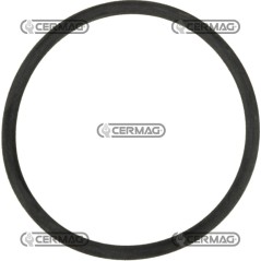 Junta tórica de EPDM, tamaño 42,52 x 2,6 mm, 27606 ARAG | NewgardenAgri.com