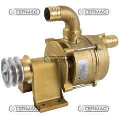 BOMBA DE TRANSFERENCIA AUTOASCENDENTE 26026 | NewgardenAgri.com