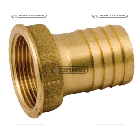 Raccordo portagomma FEMMINA Filetto 2" Gas Diametro del tubo 50 mm 25881 | NewgardenAgri.com
