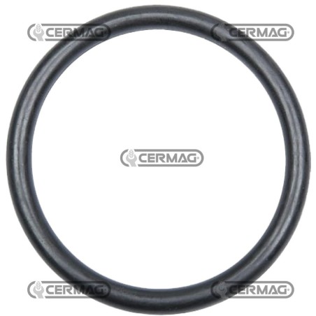 680070 ou 31,5x4,25 90 Ch 912853 ANNOVI REVERBERI | NewgardenAgri.com