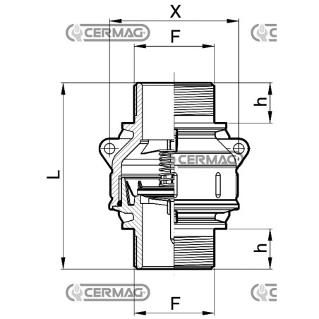 Clapet de pied à raccord fileté mâle - 2" Gaz 27678 ARAG