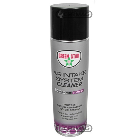 Pulitore sistema di aspirazione per motori a benzina - 500 ml 20603 | NewgardenAgri.com