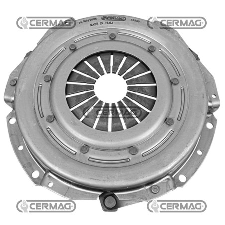 Frizione monodisco con molle a diaframma Diametro 215 mm 15338 | NewgardenAgri.com