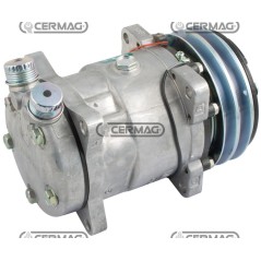 Compressore ECO per gas R134 Tensione 12 V Puleggia 2 x 132 mm 05002 | NewgardenAgri.com