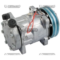 Compressore ECO per gas R134 Tensione 12 V Puleggia 2 x 132 mm 05003 | NewgardenAgri.com