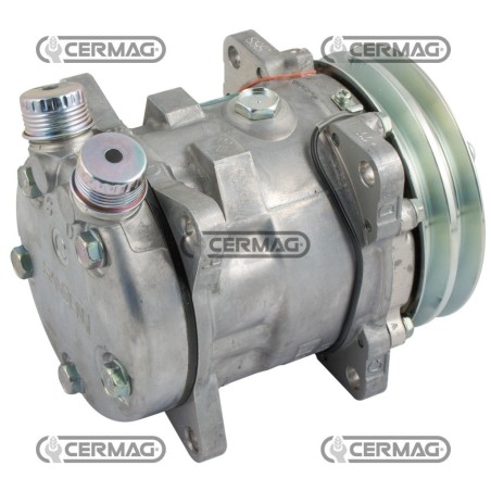 Compressore SANDEN per gas R134 Tensione 12 V Puleggia 2 x 125 mm 05004 | NewgardenAgri.com
