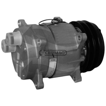 Compressore DELPHI per gas R134 Tensione 12 V Puleggia 2 x 132 mm 05251 | NewgardenAgri.com