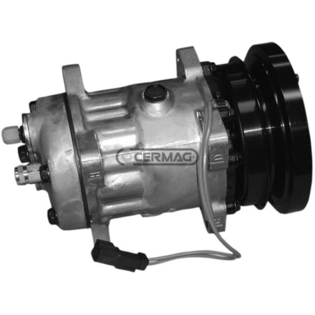 Compressore SANDEN per gas R134 Tensione 24 V Puleggia 1 x 138.5 mm 05284 | NewgardenAgri.com