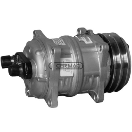 Compressore SANDEN per gas R134 Tensione 12 V Puleggia 2 x 132 mm 05289 | NewgardenAgri.com