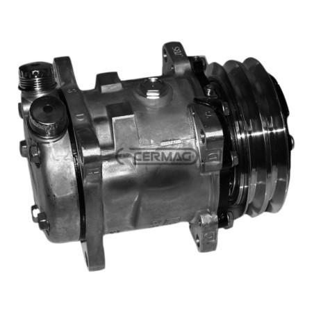 Compressore SANDEN per gas R134 Tensione 12 V Puleggia 2 x 126 mm 05300 | NewgardenAgri.com
