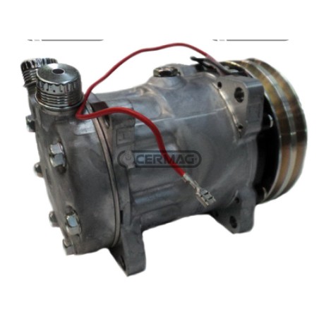 Compressore ECO per gas R134 Tensione 12 V Puleggia 2 x 132 mm 05326 | NewgardenAgri.com