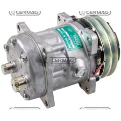 Compressore SANDEN per gas R134 Tensione 12 V Puleggia 2 x 125 mm 05388 | NewgardenAgri.com