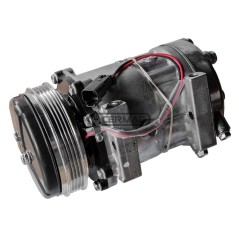 Compressore SANDEN per gas R134 Tensione 12 V Puleggia 6 x 119 mm 05389 | NewgardenAgri.com