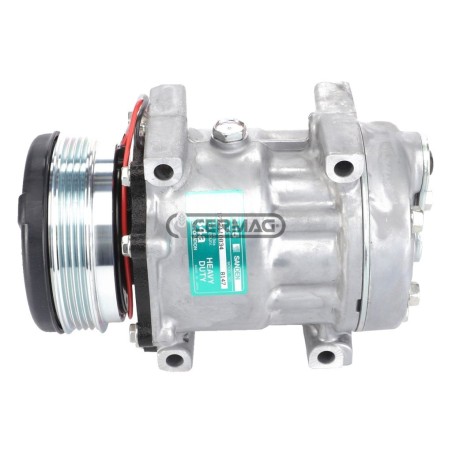 Compressore SANDEN per gas R134 Tensione 12 V Puleggia 4 x 112 mm 05442 | NewgardenAgri.com