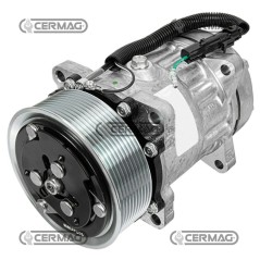 Compressore SANDEN per gas R134 Tensione 12 V Puleggia 10 x 125 mm 05446 | NewgardenAgri.com