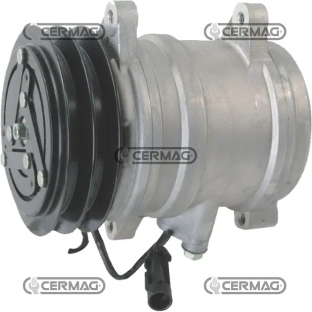 Compressore ECO per gas R134 Tensione 12 V Puleggia 2 x 121 mm 05450 | NewgardenAgri.com