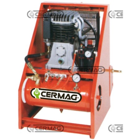 Compressore a 3 punti Portata 550 l/min Capacità 24 l 20733 | NewgardenAgri.com