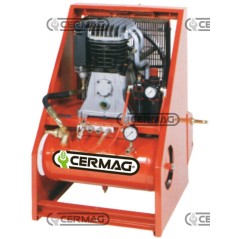Compressore a 3 punti Portata 800 l/min Capacità 24 l 20734 | NewgardenAgri.com