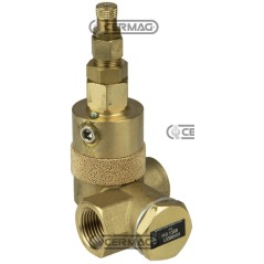 1/2"-Pilot-Rückschlagventil 21008 | NewgardenAgri.com