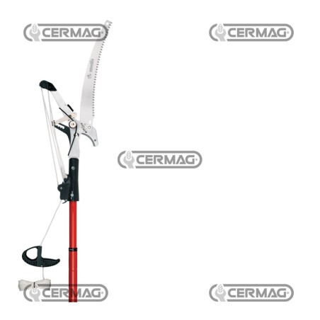 Podadora de pértiga profesional con sistema de corte por trinquete 78093 Ausonia | NewgardenAgri.com