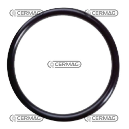 o-ring 40,87x3,53 5119769C | NewgardenAgri.com