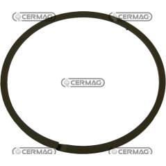 Anillo rascador de aceite 5131232C | NewgardenAgri.com