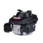 ZANETTI ZBMV160L5 159cc 3.68kW Welle 22x60 kompletter Rasentraktor Motor