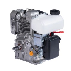 ZANETTI ZEN130L1 moteur à essence complet ZANETTI ZEN130L1 arbre Ã˜ 15 | NewgardenAgri.com