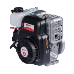 Complete petrol lawn mower engine ZANETTI ZEN150C1M 149cc air filter oil bath | NewgardenAgri.com