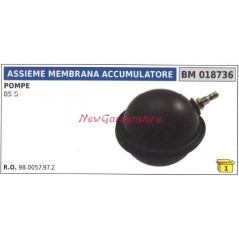 Accumulator diaphragm assembly UNIVERSAL Bertolini 85S pump 018736 | NewgardenAgri.com