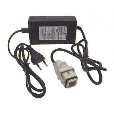 Chargeur de batterie MAORI pour TWIST STD - TWIST EVO - 015303 | NewgardenAgri.com