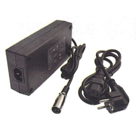 MAORI battery operated battery charger POWER P14 TWIST EVO 40V 4.4 230vac | NewgardenAgri.com