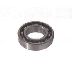 Bearing 61800 MAORI snow-shaker ( 10x19x5 mm ) MAGIKO 4x4 - 046217 | NewgardenAgri.com